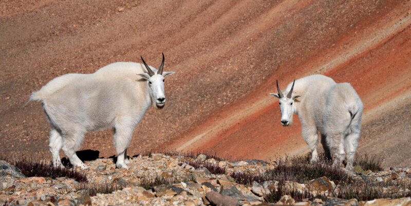 Summit County, Colorado