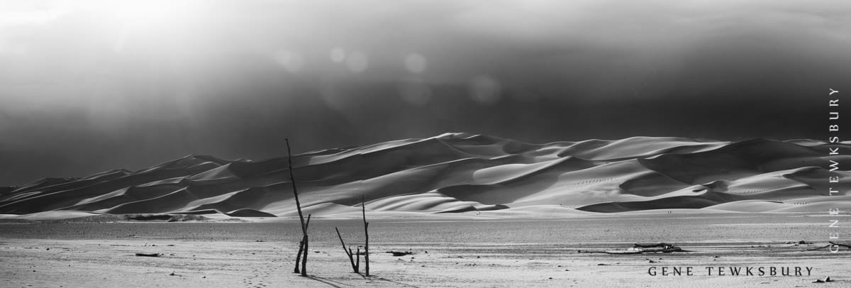 Improve your Black and White Landscape Photography.