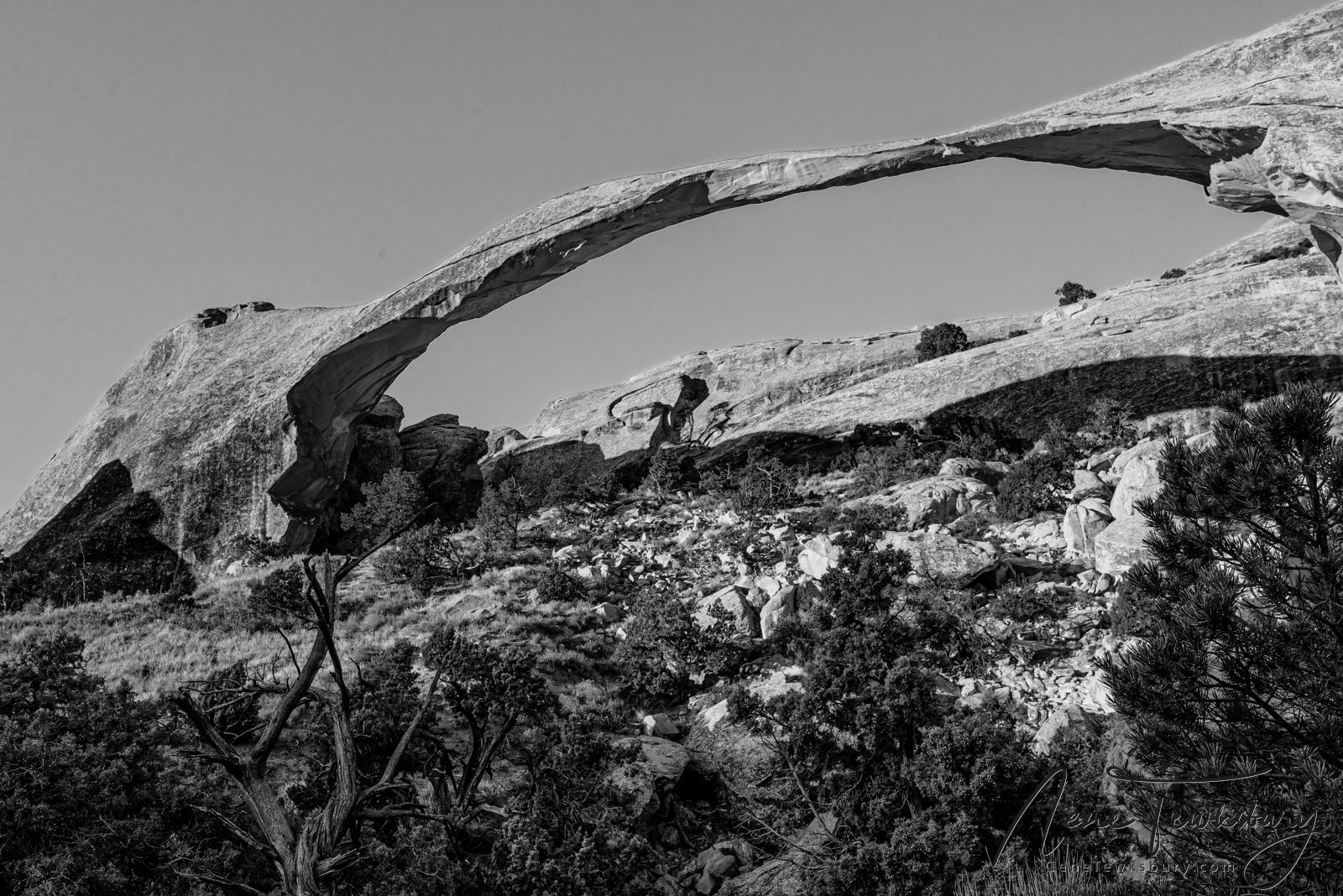 The Unique Arches of Devil's Garden in Arches National Park